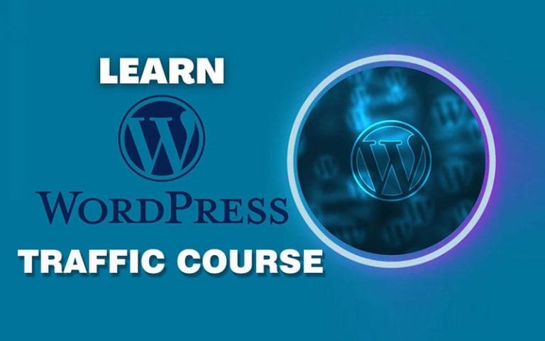 独立站优化+推广课程