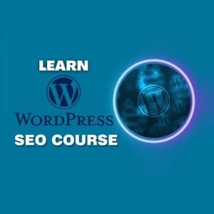 独立站优化+推广课程