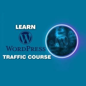 独立站引流课程